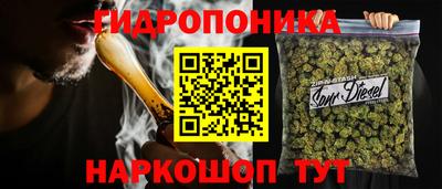 шишки Пугачёв