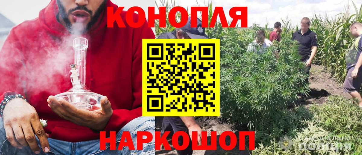 Обнинск  Марихуана AK-47  Каннабис сатива  Вход с VPN 
